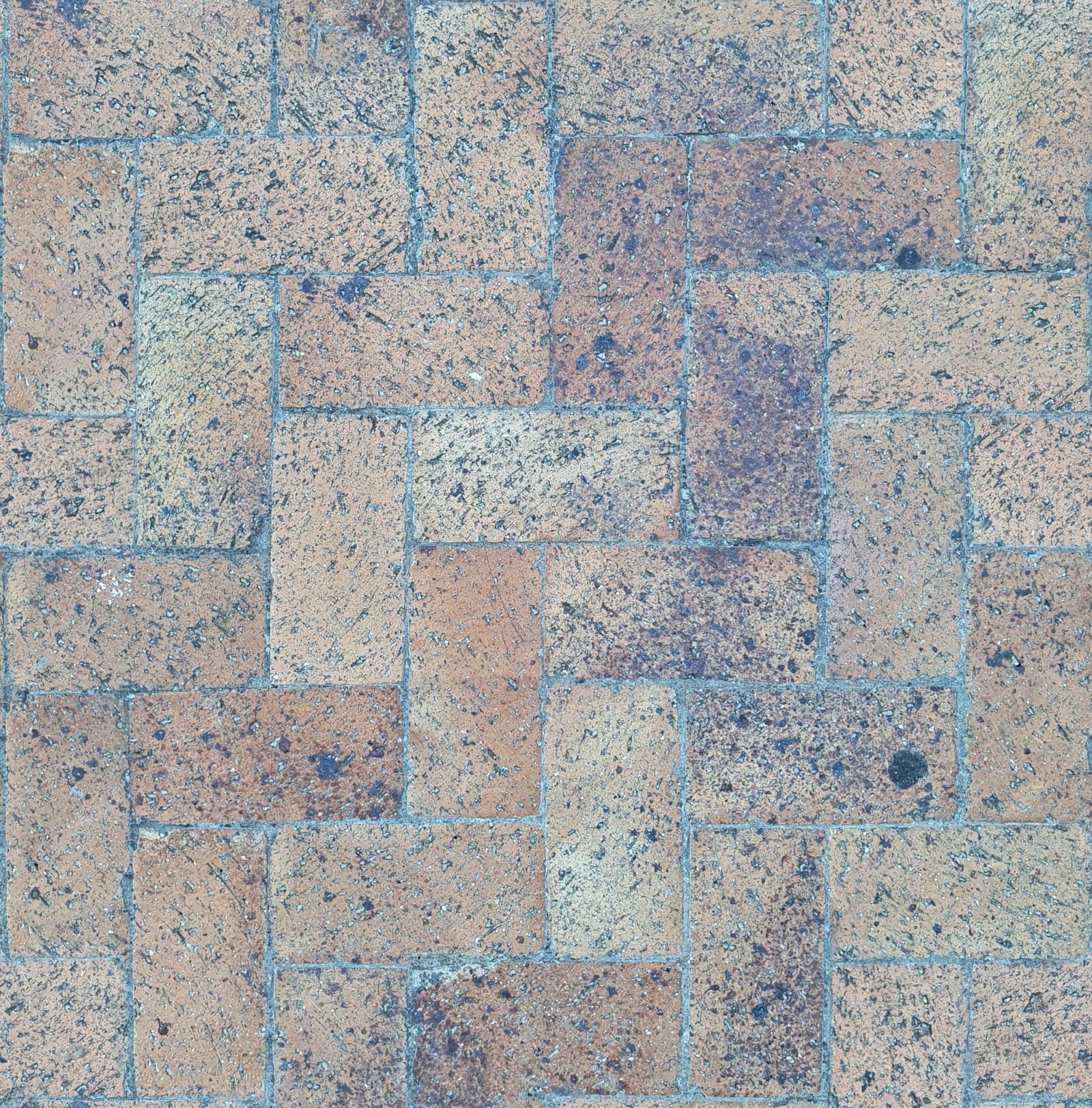 Paver patio cleaned of grime and organic staining